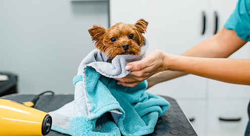 microfiber pet towel - JUHAO